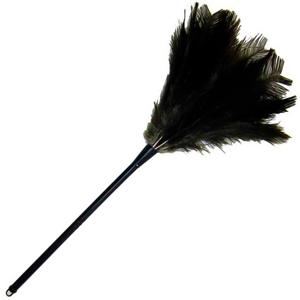 ESPANADOR EXTRA 60 DUSTER