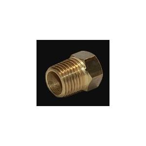 TAMPAO ROSCA EXTERNA 1/4 NPT M2