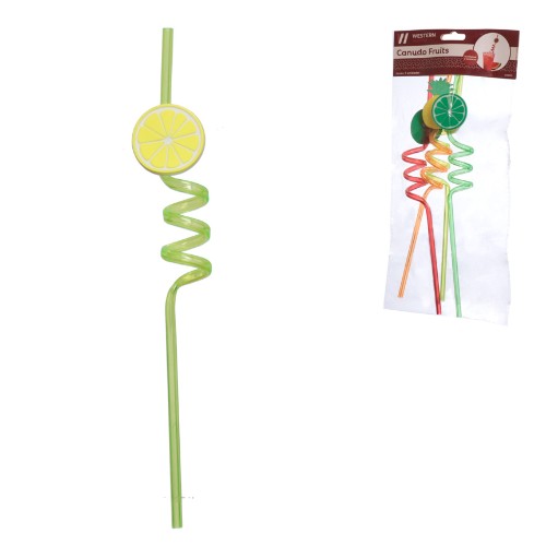 Kit canudo fruits 4pc