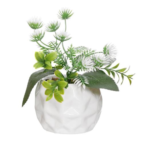 Vaso crmc maranta br 6cm