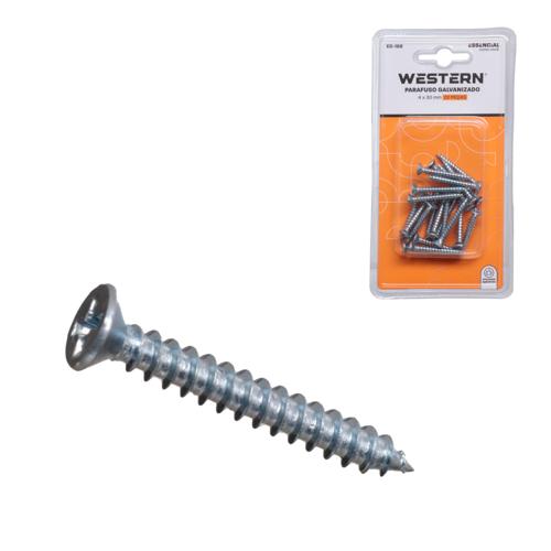 Parafuso galvaniza 4x30mm 22pc