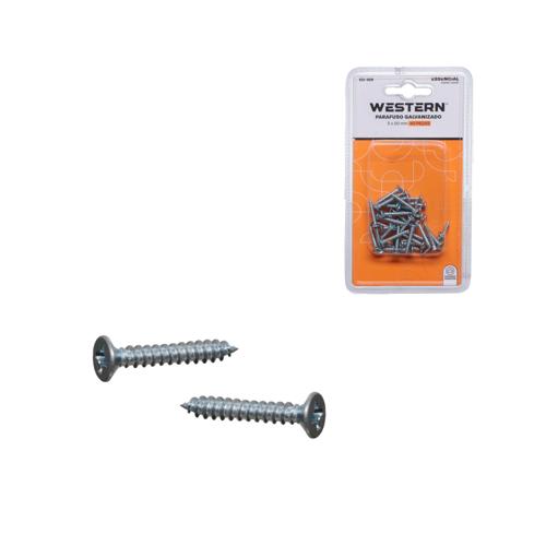 Parafuso galvaniza 3x20mm 40pc