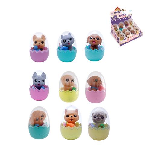 Pet viaja display