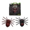 Aranha