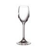 Taca licor klara 65ml 6pc