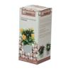 Vaso arranjo artf cravin 14cm