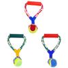 Brinq cao corda bola 25.5cm