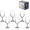 Taca iso gastro 210ml 6pc