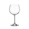 Taca gin gastro 570ml 6pc