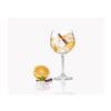 Taca gin gastro 570ml 6pc