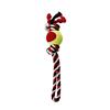 Brinq cao corda c bola 40cm