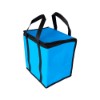 Bolsa termica frosty az 18l