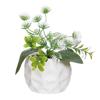 Vaso crmc maranta br 6cm