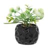 Vaso crmc maranta pt 6cm