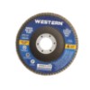 Disco desb flap 115mm grao 60