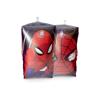 Boia Inflável Para Braco Spiderman 23 x 14 cm Caixa - Etitoys