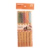 Hashi 24cm 10pc
