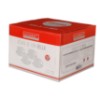 Xicara cha p bella br 210ml 4p