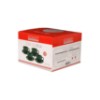 Xicara cha p bella vd 210ml 4p