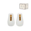 Saleiro/piment lumie brbd 2p