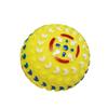 Brinq cao bola  c textura 12cm
