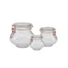 Pote hermetico clip rg 3pcs