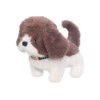 Cachorrinho