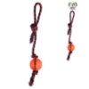 Brinq cao corda bola no 40cm