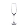 Taca champ cri gal tr 200ml 6p