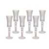 Taca champ vdo gft 150ml 6pc