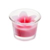 Vela aromatica 4.5cm