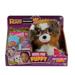 Pelúcia Adota Pets Hug Me Beethoven Multikids - BR1219
