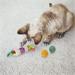 Brinquedos para Gatos - Conjunto Posh Fun Mimo - PP119
