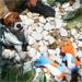 Brinquedo de Pelúcia para Cães - Amiguinhos Animais Urso Mimo - PP141
