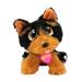 Adota Pets Coockie com Acessórios Indicado para +3 Anos Multikids - BR1067