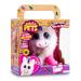 Adota Pets Dreamy com Acessórios Indicado para +3 Anos Multikids - BR1065
