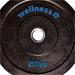 Anilha Olímpica Borracha Azul New Bumper Plate 20kg Wellness - WK009