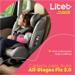 Cadeira para Auto 0-36Kg Isofix All Stages Fix 2.0 Cinza Litet - BB452