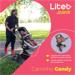 Carrinho Passeio Moisés 0-15 Kg Litet Candy Titanium - BB185