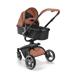 Carrinho Passeio Moisés Candy 0-15kgs Caramelo Litet - BB668
