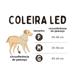 Coleira LED 3 Funções Azul Tam. P Mimo - PP339