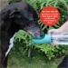 Garrafa Portátil Pet Water To Go 550ml com Filtro de Carvão Ativado Verde Fisher Price - PP254