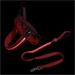 Kit Guia e Peitoral LED Vermelho Tam. P Mimo - PP329A