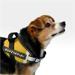 Kit Guia Hands Free e Peitoral Cross Harness Tam. G Mimo - PP310A