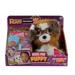 Pelúcia Adota Pets Hug Me Beethoven Multikids - BR1219