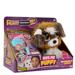 Pelúcia Adota Pets Hug Me Beethoven Multikids - BR1219