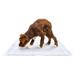 Promo Pack 4 Pcs Tapete Higiênico Mimo Pads - 60x90 Mimo - PP018