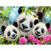 Quebra Cabeça 3D Pet Selfie Panda 48 Peças Multikids - BR2114