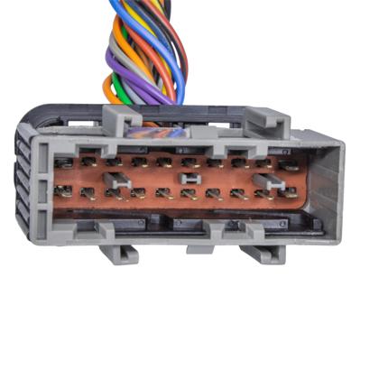 Chicote Central Atuador Aceleração Palio 20 Vias Macho - TC220.2991  