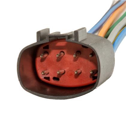 Chicote Interruptor Lanterna Traseira Ré 8 Vias Macho - R7 - ETE9121  